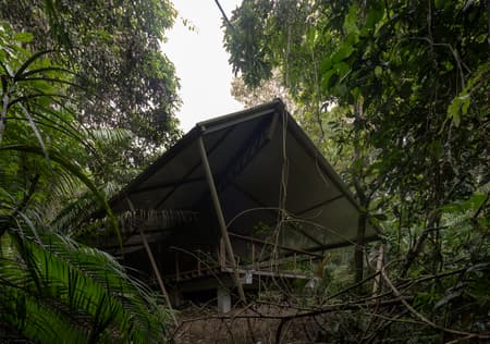 Refuge in the Rainforest - Tour Guide Training Center